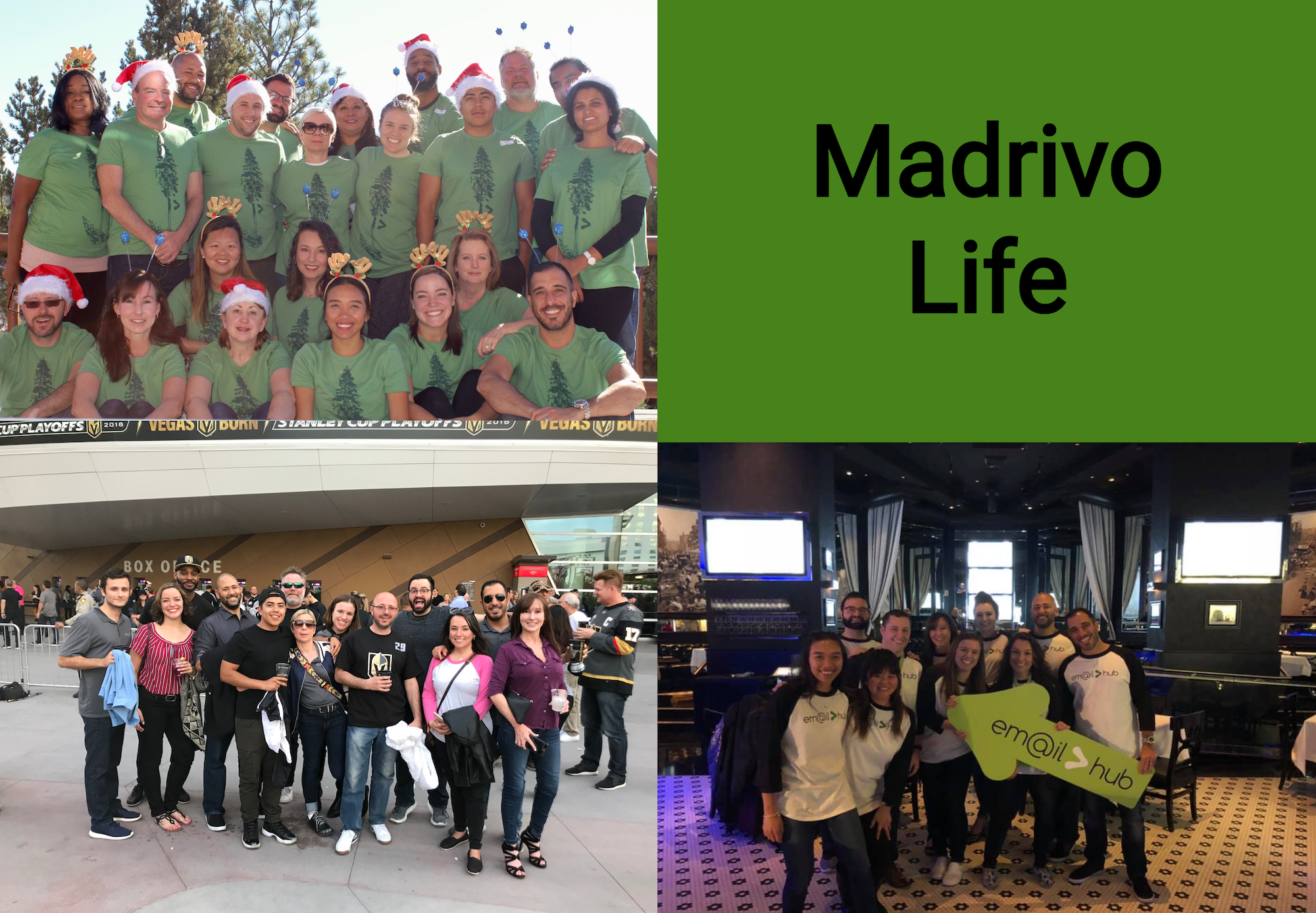 Company photos Madrivo Company Photo